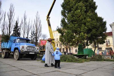 У Чернівцях встановлюють новорічну ялинку