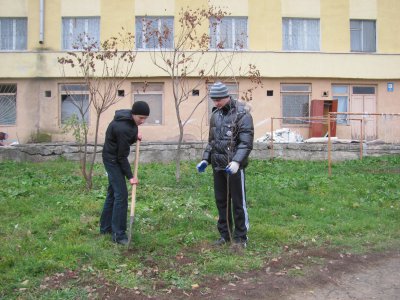 У Чернівцях створюють дендропарк