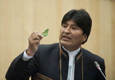 Болівійцям дозволили жувати та культивувати коку