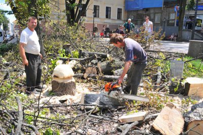 Дерева у сквері зрізали на прохання Яна Табачника