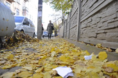 Чернівці завалило листям. А раптом сніг?