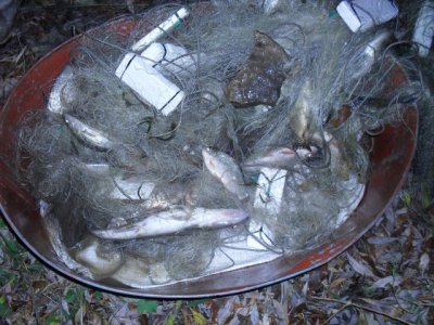 На Дністрі затримали браконьєра-"рецидивіста", який наловив риби на 60 тисяч