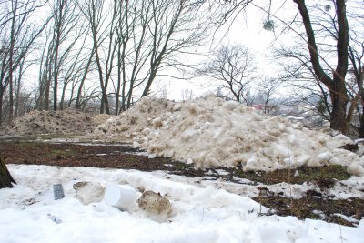 Чернівецький парк закидали сніговими барикадами з-під ОДА