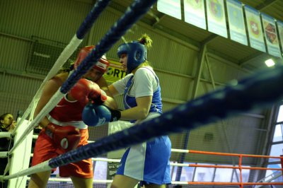 У Чернівцях боксували жіночі збірні Канади та України