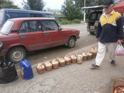 В горах на Буковині - грибний бум (ФОТО)