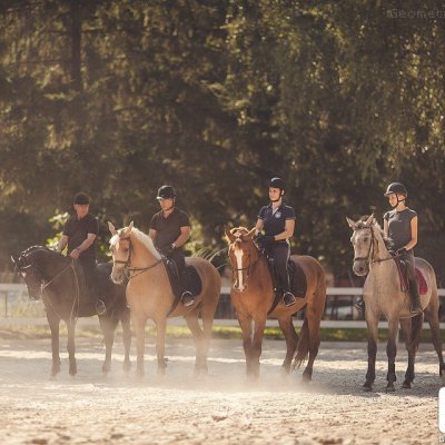 Клуб верхової їзди «Прованс» відкрився у Чернівцях