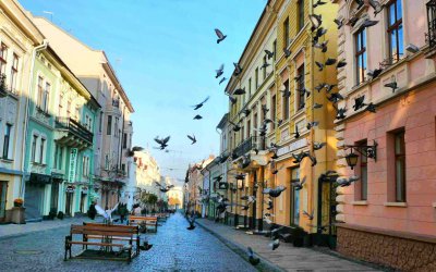 У Чернівцях організовують екскурсію «Прогулянка Herrengasse»