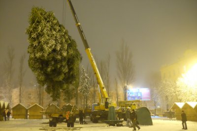 У Чернівцях встановили новорічну ялинку (ФОТО)