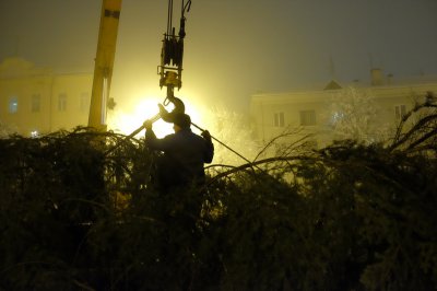 У Чернівцях встановили новорічну ялинку (ФОТО)