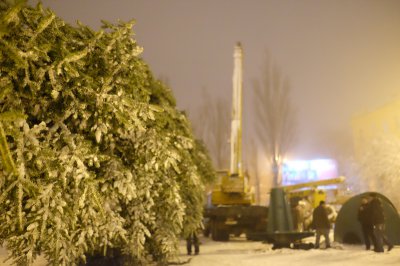 У Чернівцях встановили новорічну ялинку (ФОТО)