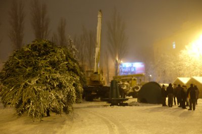 У Чернівцях встановили новорічну ялинку (ФОТО)