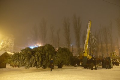 У Чернівцях встановили новорічну ялинку (ФОТО)