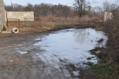 Молокозавод у Чернівцях залив відходами сусідів (ФОТО)