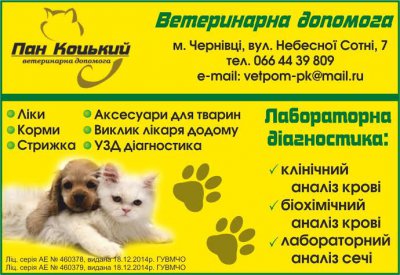 У Чернівцях – нова сучасна клініка для тварин! (на правах реклами)
