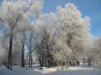 На Буковині вночі - до 11 градусів морозу