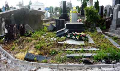 У Чернівцях на кладовищі невідомі пошкодили сотню склепів
