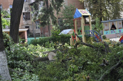 У Чернівцях біля дитсадка спиляли дерева – сусіди обурилися (ФОТО)