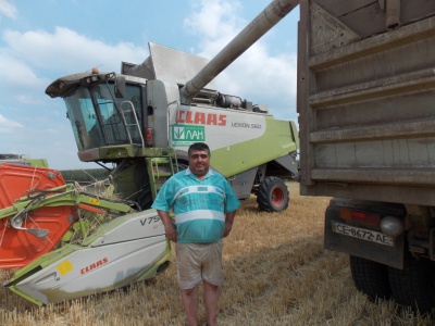 На Буковині активно збирають урожай зернових (ФОТО)