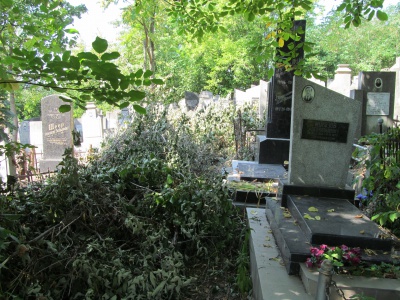 На Єврейському кладовищі люди не можуть дістатися могил родичів (ФОТО)