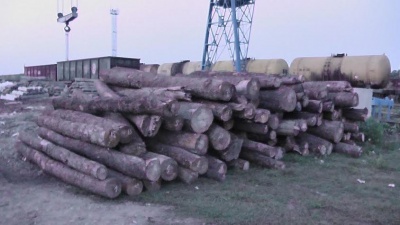 На кордоні на Буковині знову затримали незадекларований ліс