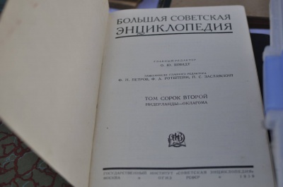 У Чернівцях на День міста працює волонтерське містечко (ФОТО)