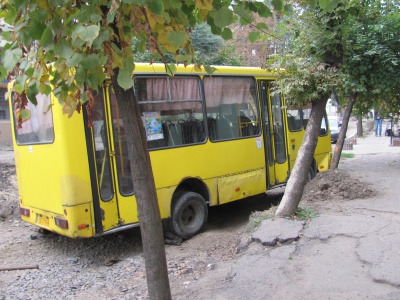 У центрі Чернівців автобус зупинило дерево (ФОТО)