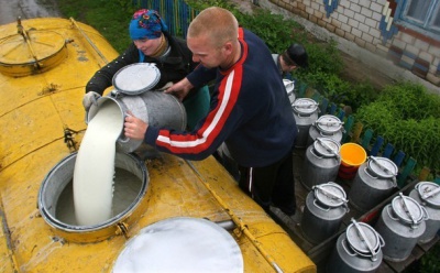 На Буковині ще один молокозавод став купувати молоко у селян
