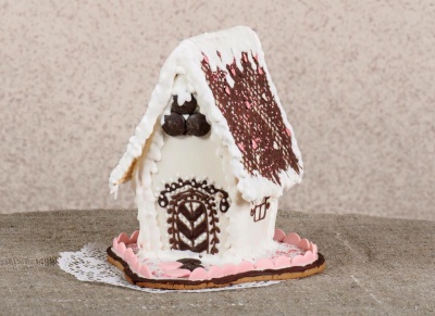 Волонтери показали пряничні будиночки, які вони представлять на ярмарку солодощів (ФОТО)
