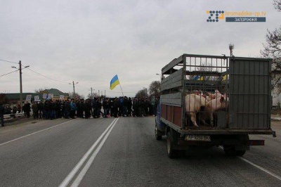Фермери перекрили трасу "Чернівці - Київ"