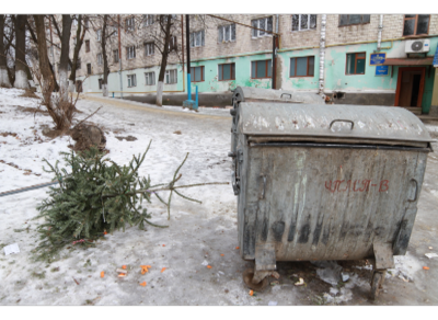 У Чернівцях смітники переповнені новорічними ялинками (ФОТО)