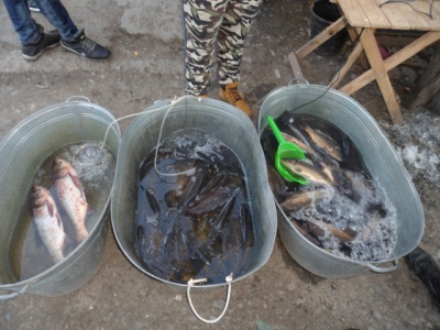 На Пруті затримали браконьєрів, які трійниками багрили рибу (ФОТО)