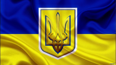 В Україні нарешті хочуть посилити відповідальність за наругу над прапором