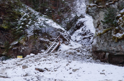 Водоспад на Буковині, який знищили лісники, відновили