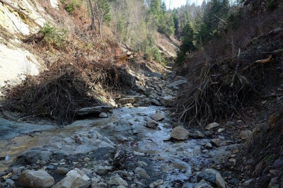 Водоспад на Буковині значно зменшився після вивезення через нього лісу (ФОТО)