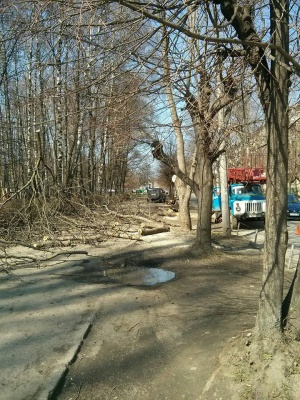 У Чернівцях біля парку «Жовтневий» буде безкоштовна парковка (ФОТО)