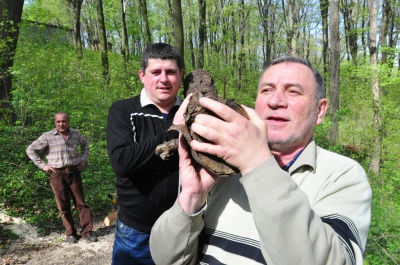 У Чернівцях нардеп Бурбак з чиновниками прибрали парк і відвантажили дрова учаснику АТО (ФОТО)