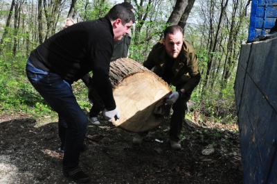 У Чернівцях нардеп Бурбак з чиновниками прибрали парк і відвантажили дрова учаснику АТО (ФОТО)