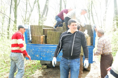 У Чернівцях нардеп Бурбак з чиновниками прибрали парк і відвантажили дрова учаснику АТО (ФОТО)