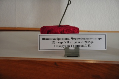 Чернівецькому музею передали стародавній бронзовий скарб, знайдений на околиці Хотина (ФОТО)