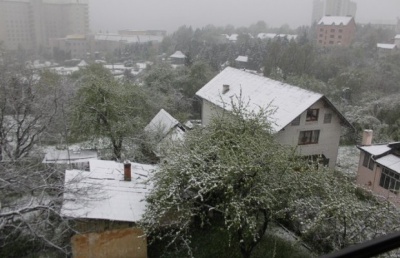 Напередодні травневих свят Львівщину засипало снігом