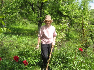 91-річна чернівчанка самостійно порається на двох городах