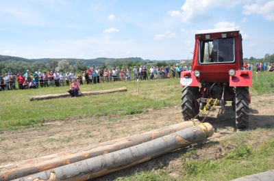 Найсильніші коні тягнули колоди під час фестивалю на Буковині (ФОТО)