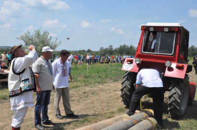 Найсильніші коні тягнули колоди під час фестивалю на Буковині (ФОТО)