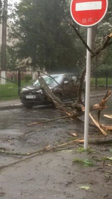 Буревій у Чернівцях: на вулиці Буковинській дерево впало на автомобіль (ФОТО)