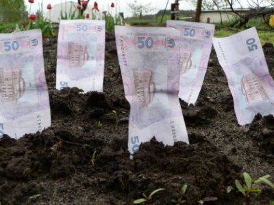 Чернівецькі власники землі сплатили більше 83 мільйонів податку
