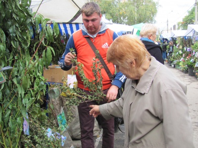 У Чернівцях на ярмарку продають інжир та маракуйю (ФОТО)