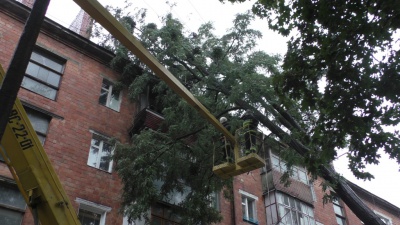 У Чернівцях вітер повалив дерево на багатоповерхівку (ФОТО)