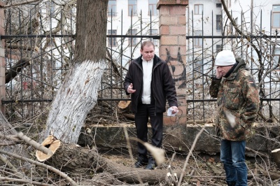 У Чернівцях на Гребінки зрубали дерева – кажуть, що є дозвіл (ФОТО)