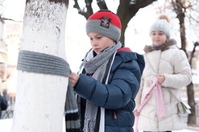 У Чернівцях школярі прикрасили дерева шарфами для тих, кому треба зігрітися (ФОТО)