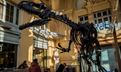 Надзвичайний і повноважний «дебіл» і скелет динозавра за 1,0 млн євро. Огляд найдивніших новин минулого тижня
